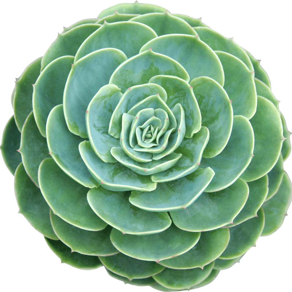 salon-soins-qualite-ecoresponsable (1)